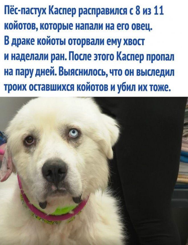 Пятница — это маленькая жизнь, а конец рабочей недели — повод выдохнуть и наконец-то улыбнуться! 🥂 знаем, письма, поднимать, погнали, покрепче, чтото, наливайте, поудобнее, каждыйУстраивайтесь, поймет, которые, позитивных, мемов, время, сейчас, бесконечные, сильно, отчеты, дедлайны, Забудьте