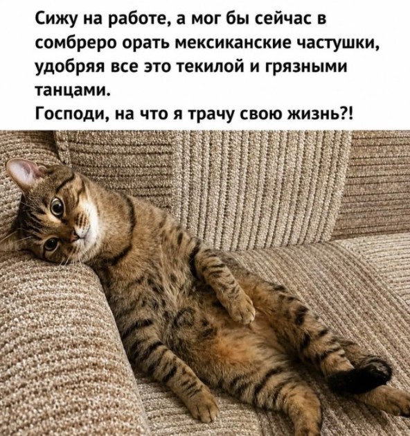 Пятница — официальный день «выживших»! 🥂 друзья, офисе, настроением, заряжайтесь, смейтесь, Листайте, момент, неделю, каждый, поймет, которые, юмора, отборного, порцию, собрали, удаленке, последние, дожили, казаться, Пятница
