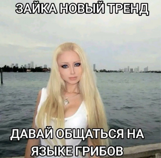 картинка 2967513026 21182724
