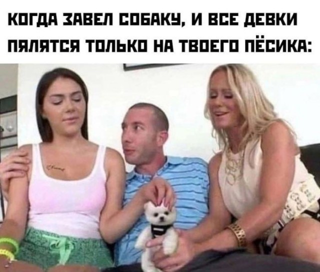 картинка 2a91b49d03 21121419
