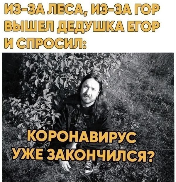 картинка 2bf6d43cba 21221394