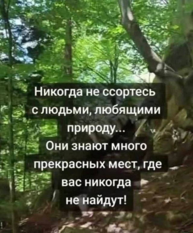 картинка 2c472fd7a4 21183845
