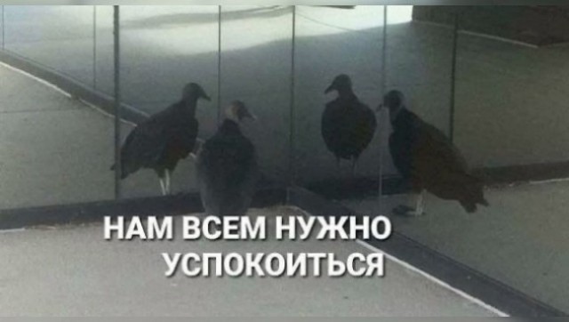 🔥 Рубрика: «Антистресс-пачка мемов» 🔥 задался, доделать», позитива, 😄Пусть, минут, будут, «надо, срочно, правда, только, будет, хорошо, какой, сегодня, Кидайте, комментарии, посмеёмся, лёгкий, Листайте, пролился