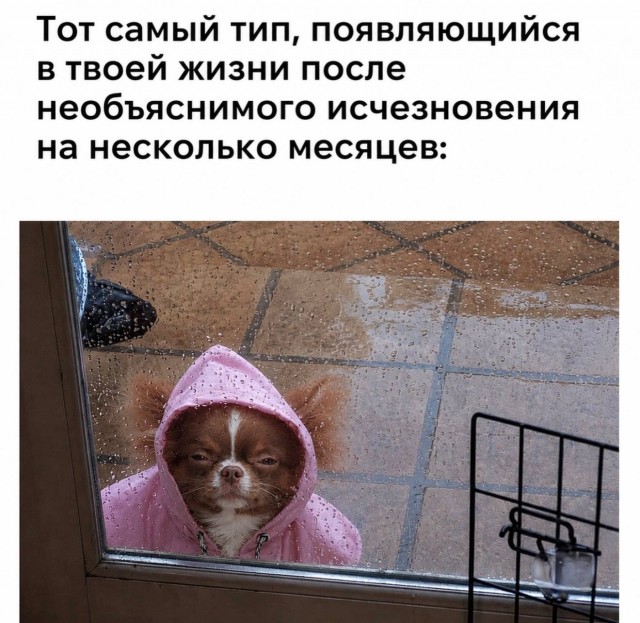 картинка 2ca220eb4b 21153681