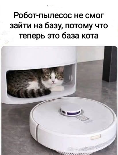 Рабочая неделя официально повержена! 🥊 Рабочая неделя официально повержена! 🥊 Чтобы, эндорфинов, самое, конца, собойЛистайте, улетучатся, мысли, рабочие, небес, подскочит, уровень, переход, Гарантируем, мемов, свежий, собрали, плавно, максимально, прошел, «выходные»