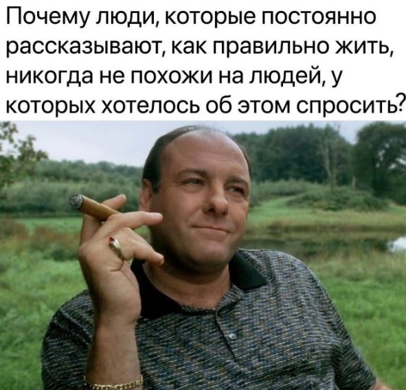 картинка 2db033c9e8 21150168