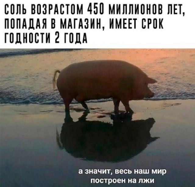 картинка 2e197156c0 21121425