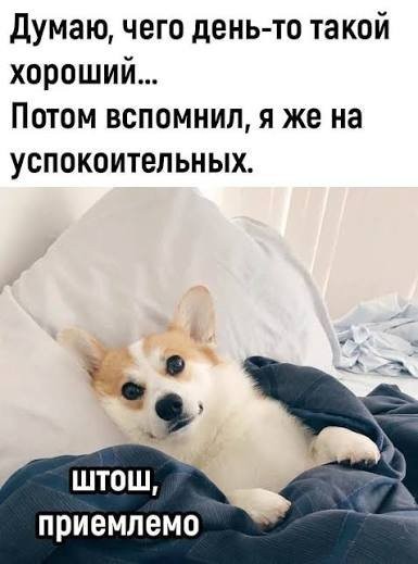 картинка 30524903a2 21134581
