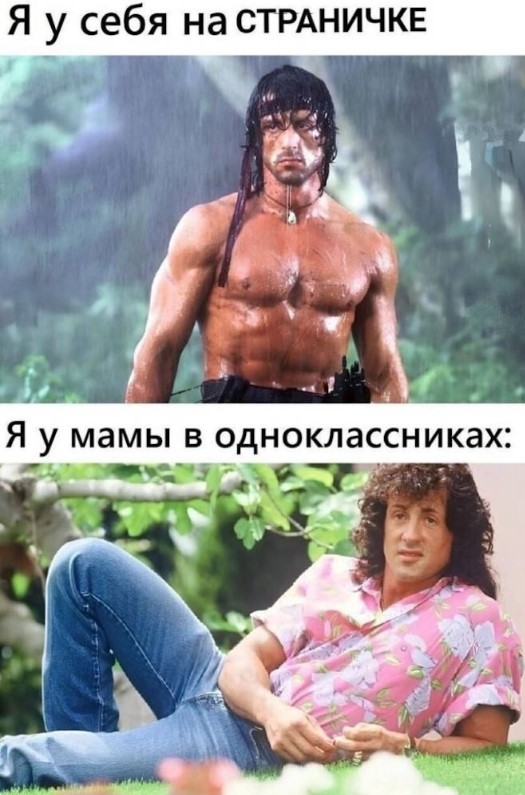 картинка 313c6fb39b 21195071