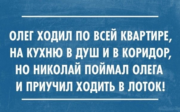 картинка 317c899266 21182916