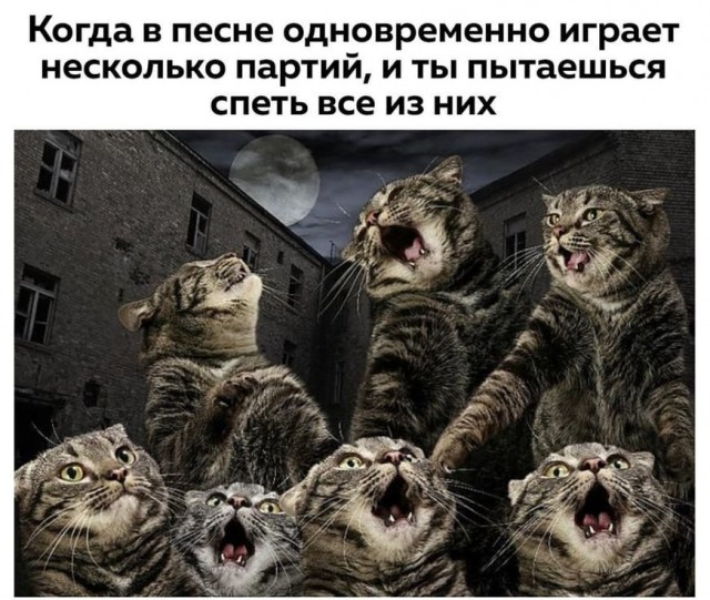 🔥 Рубрика: «Антистресс-пачка мемов» 🔥 задался, доделать», позитива, 😄Пусть, минут, будут, «надо, срочно, правда, только, будет, хорошо, какой, сегодня, Кидайте, комментарии, посмеёмся, лёгкий, Листайте, пролился