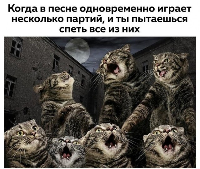 Пятничная порция юмора: поднимаем настроение перед выходными! ✨ Привет, поудобнее, серьезности, только, чистый, позитив, порция, доброго, юмора, Устраивайтесь, наливайте, неделю, чашку, чегото, покрепче, рабочий, наслаждайтесь, просмотромПусть, пятница, пройдет