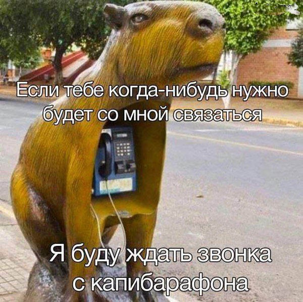 Хватит грустить — пора посмеяться! 🚀 просто, Друзья, которыми, Ситуации, которых, узнаешь, Немного, абсурдного, юмора, Картинки, поделиться, захочется, рутиныВ, друзьямиЗаваривайте, устраивайтесь, поудобнее, листайте, конца, заряд, позитива