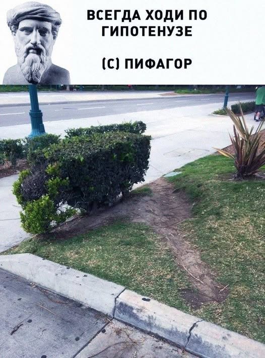 картинка 325474bd77 21134555