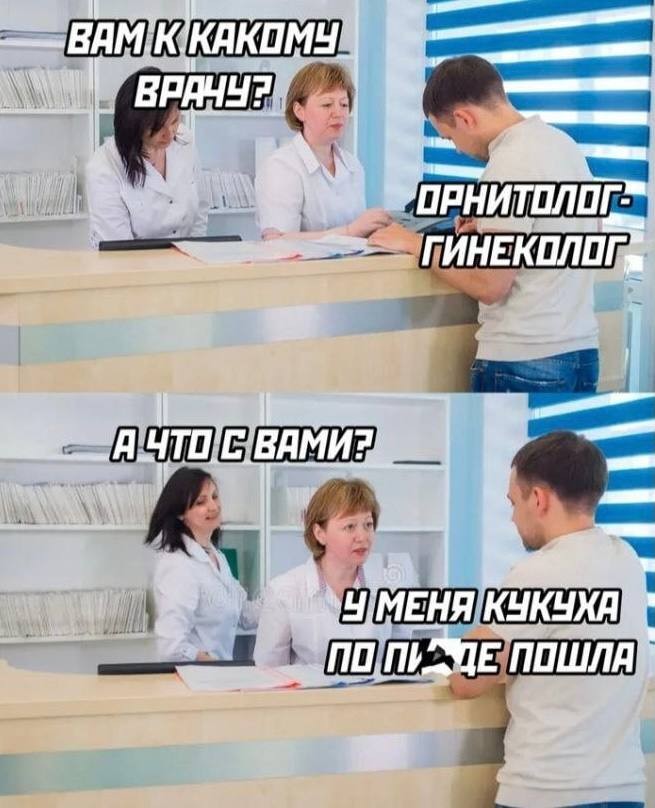картинка 363c1fd8cd sobral dlja vas porciju jumora za kotoryj v prilichnom obschestve obychno vygonjajut iz za stola 13