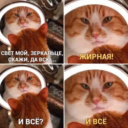 картинка 37d84e3430 21195056