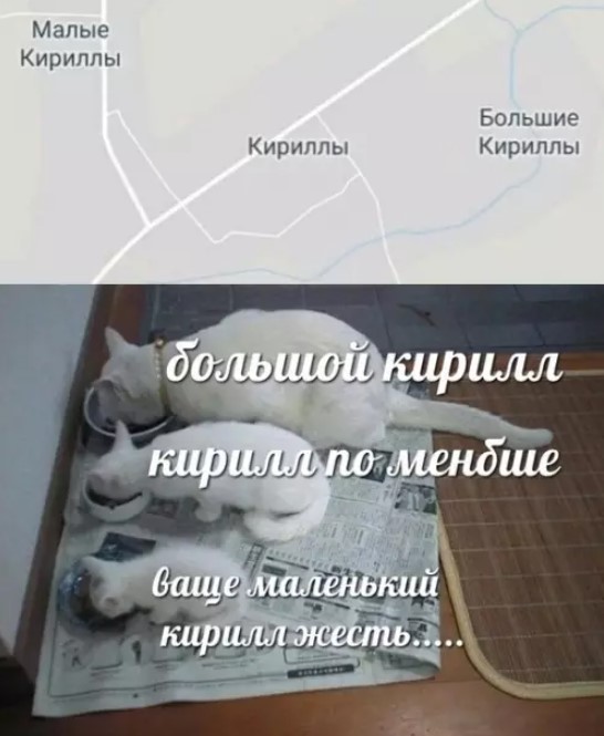 картинка 3a4c5c7478 21150172