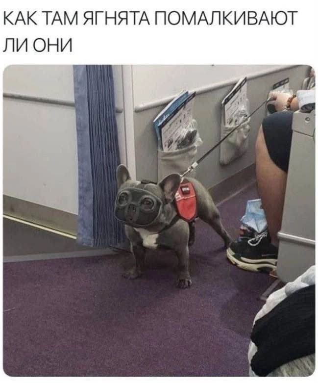 картинка 3a566e01bf 000000000