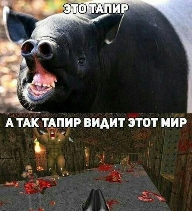 картинка 3b2ca88076 malenkaja pjatnica vremja vydohnut 9
