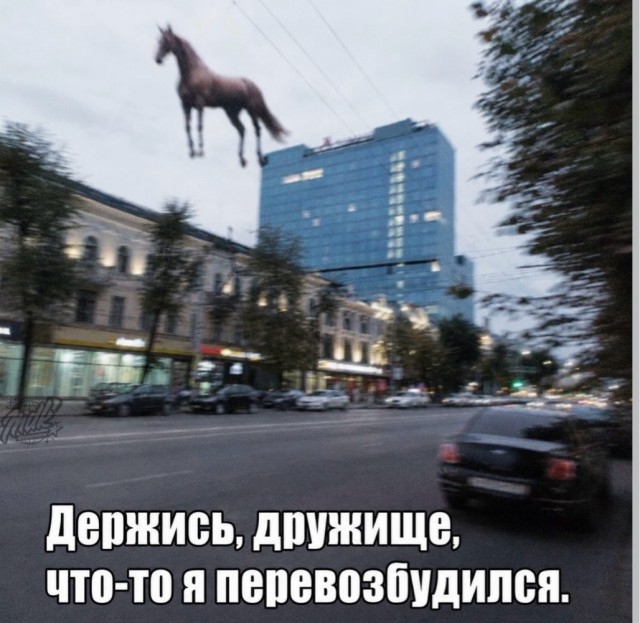 картинка 3ba0a9d038 21195817