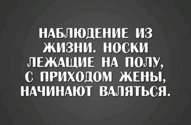 картинка 3bbb43f1e7 21163239