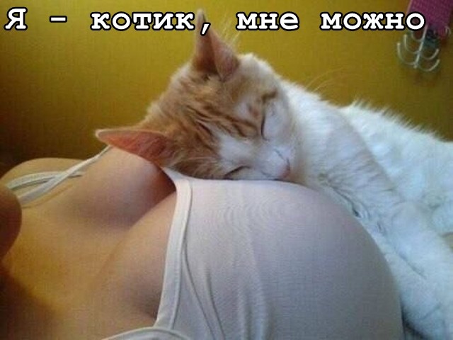 картинка 3c580a67c3 21181076