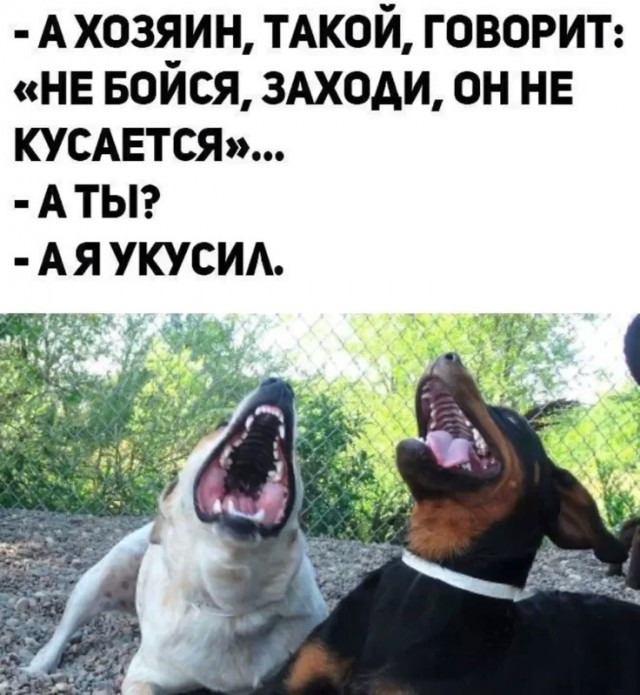 картинка 3ead7201b3 21151687