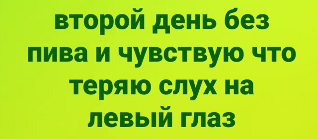 картинка 4091c7546d 21183640