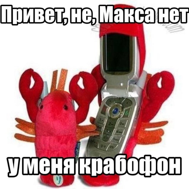 картинка 415f46182c 21151311