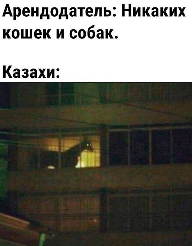 Утро не задалось? 😴 У нас есть план спасения: порция мемов и смешных комментариев. сегодня, переходите, позитивом, улыбаемся, потихоньку, настраиваемся, отличный, 💪Скорее, ссылке, кофе», пусть, хорошее, настроение, будет, первых, минут, 👇Предыдущая, Заряжаемся, чашка, будильник