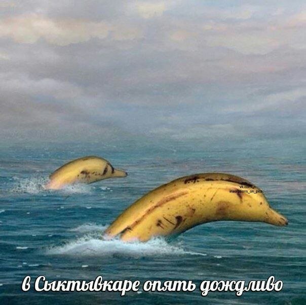 картинка 432e9d5d00 21149643