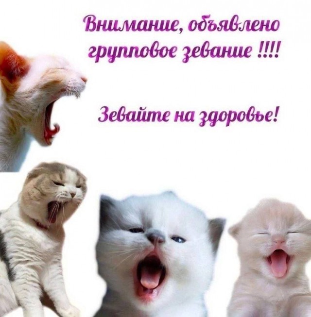 картинка 444c8ee634 21134579