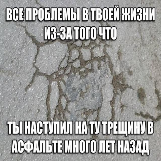 картинка 4496024ff6 21136591