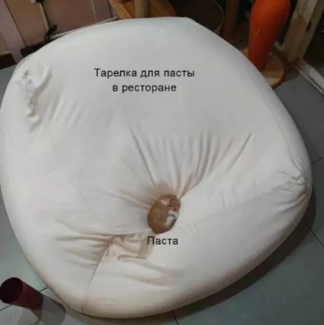 картинка 46f49bf120 21166382