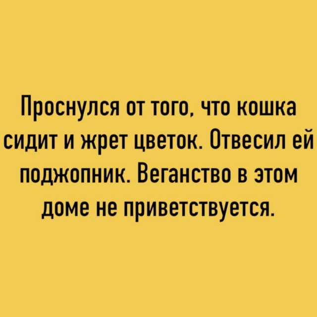 🔥 Рубрика: «Антистресс-пачка мемов» 🔥 задался, доделать», позитива, 😄Пусть, минут, будут, «надо, срочно, правда, только, будет, хорошо, какой, сегодня, Кидайте, комментарии, посмеёмся, лёгкий, Листайте, пролился