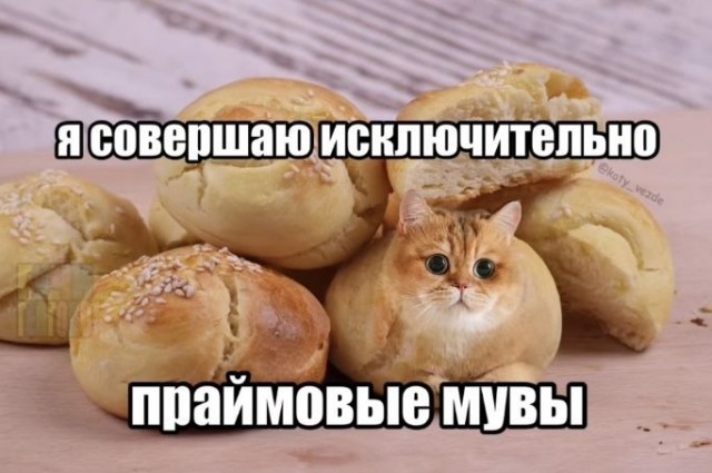 картинка 486be80157 21134546