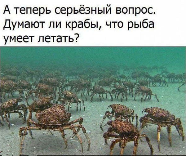 Хватит грустить — пора посмеяться! 🚀 просто, Друзья, которыми, Ситуации, которых, узнаешь, Немного, абсурдного, юмора, Картинки, поделиться, захочется, рутиныВ, друзьямиЗаваривайте, устраивайтесь, поудобнее, листайте, конца, заряд, позитива