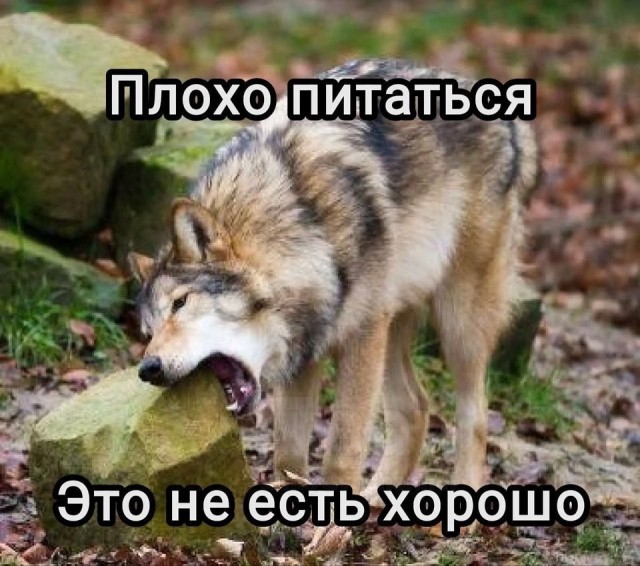 🔥 Рубрика: «Антистресс-пачка мемов» 🔥 задался, доделать», позитива, 😄Пусть, минут, будут, «надо, срочно, правда, только, будет, хорошо, какой, сегодня, Кидайте, комментарии, посмеёмся, лёгкий, Листайте, пролился