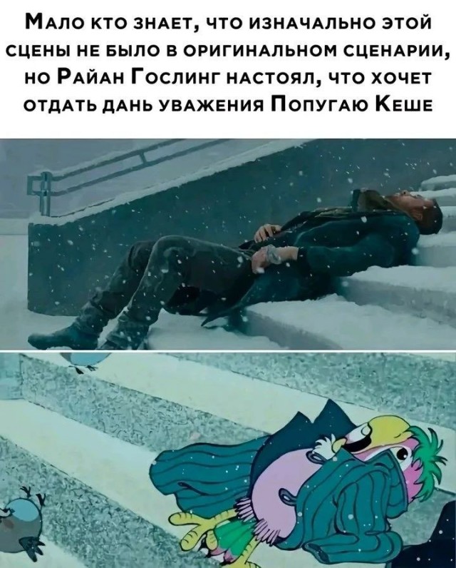 картинка 4d7ddf23f9 21170193