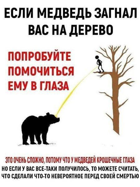 Хватит грустить — пора посмеяться! 🚀 просто, Друзья, которыми, Ситуации, которых, узнаешь, Немного, абсурдного, юмора, Картинки, поделиться, захочется, рутиныВ, друзьямиЗаваривайте, устраивайтесь, поудобнее, листайте, конца, заряд, позитива