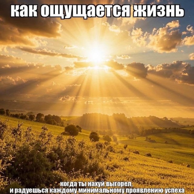 Пятница — официальный день «выживших»! 🥂 друзья, офисе, настроением, заряжайтесь, смейтесь, Листайте, момент, неделю, каждый, поймет, которые, юмора, отборного, порцию, собрали, удаленке, последние, дожили, казаться, Пятница