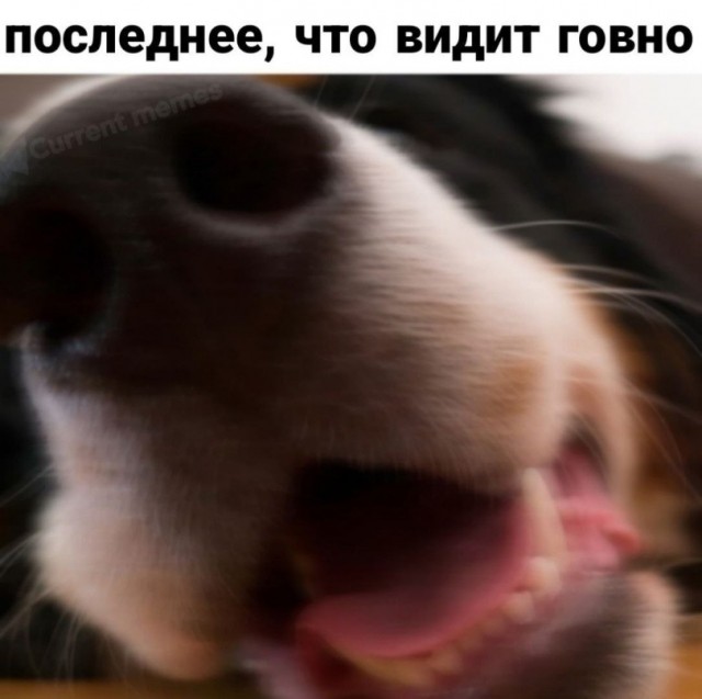 Пятница — официальный день «выживших»! 🥂 друзья, офисе, настроением, заряжайтесь, смейтесь, Листайте, момент, неделю, каждый, поймет, которые, юмора, отборного, порцию, собрали, удаленке, последние, дожили, казаться, Пятница