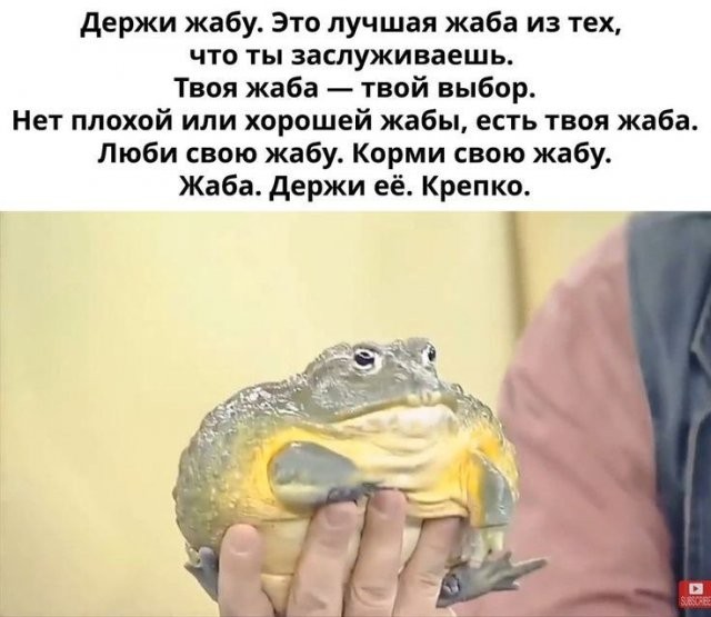 🔥 Рубрика: «Антистресс-пачка мемов» 🔥 задался, доделать», позитива, 😄Пусть, минут, будут, «надо, срочно, правда, только, будет, хорошо, какой, сегодня, Кидайте, комментарии, посмеёмся, лёгкий, Листайте, пролился