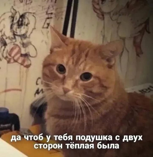 Понедельник — день тяжелый? Только не у нас! ☕️ Признавайтесь, тяжелый», новую, врываемся, позитивом, Заряжаемся, дыхании, одном, пройдет, понедельник, незаметно, пролетит, время, подборкой, нашей, «день, прошло, волнуЗабудьте, рабочую, настроиться