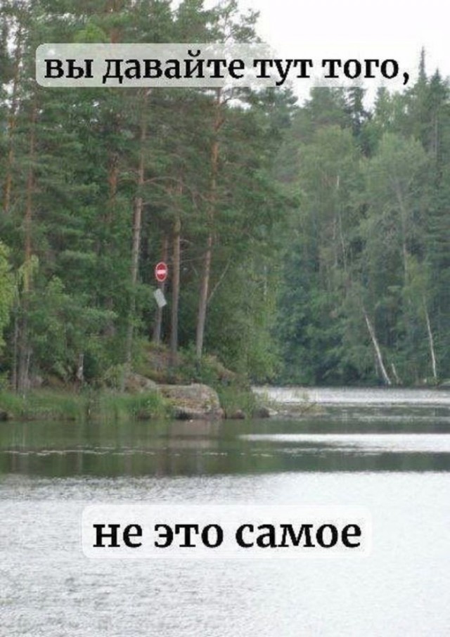 картинка 55e9d71865 21183379