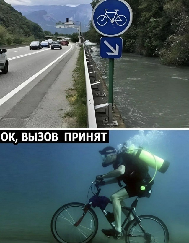 картинка 56064fc79e 21164481