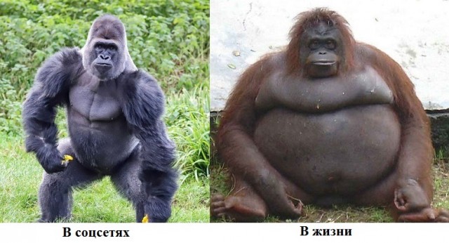 картинка 5640dfcec9 21152957