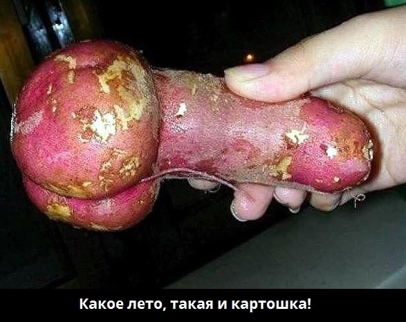 картинка 59b5a3d3d1 21182900