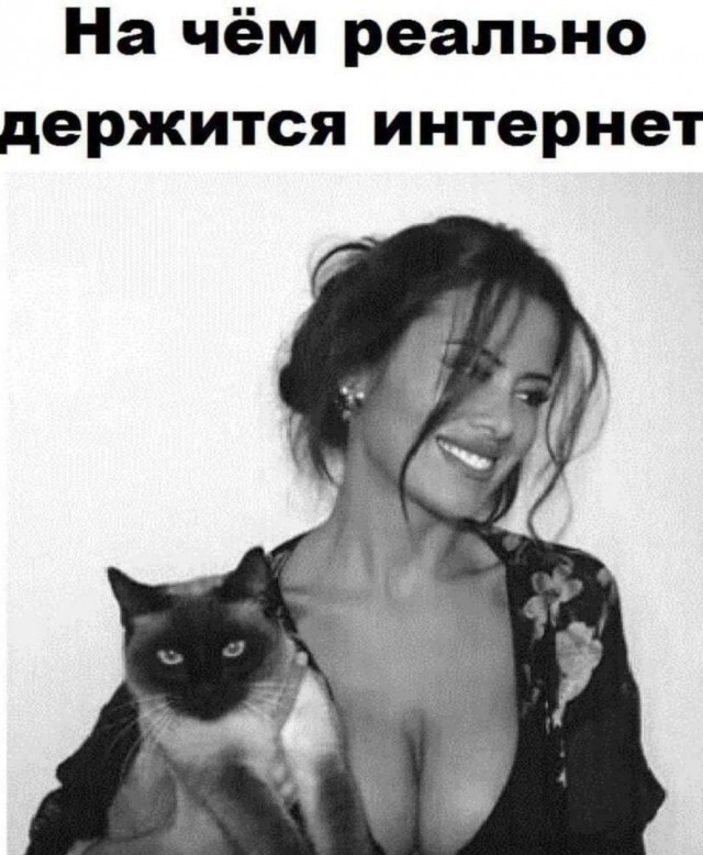 картинка 5a2ea5c46c 21121447