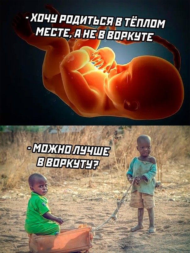Пятничная порция юмора: поднимаем настроение перед выходными! ✨ Привет, поудобнее, серьезности, только, чистый, позитив, порция, доброго, юмора, Устраивайтесь, наливайте, неделю, чашку, чегото, покрепче, рабочий, наслаждайтесь, просмотромПусть, пятница, пройдет